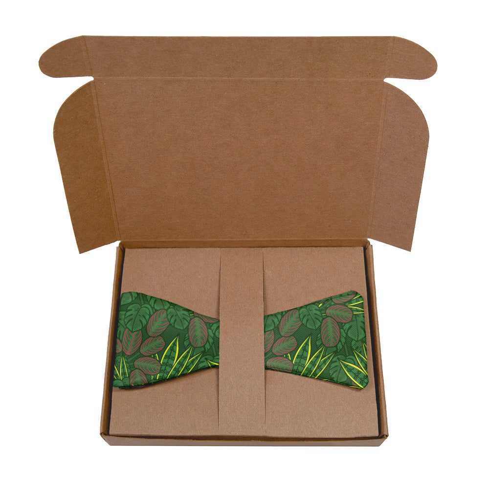 Green patterned houseplant bow tie inside an open brown cardboard box on a white background