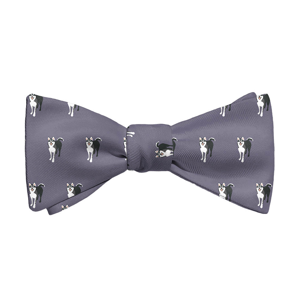 Husky Bow Tie - Adult Standard Self-Tie 14-18" -  - Knotty Tie Co.