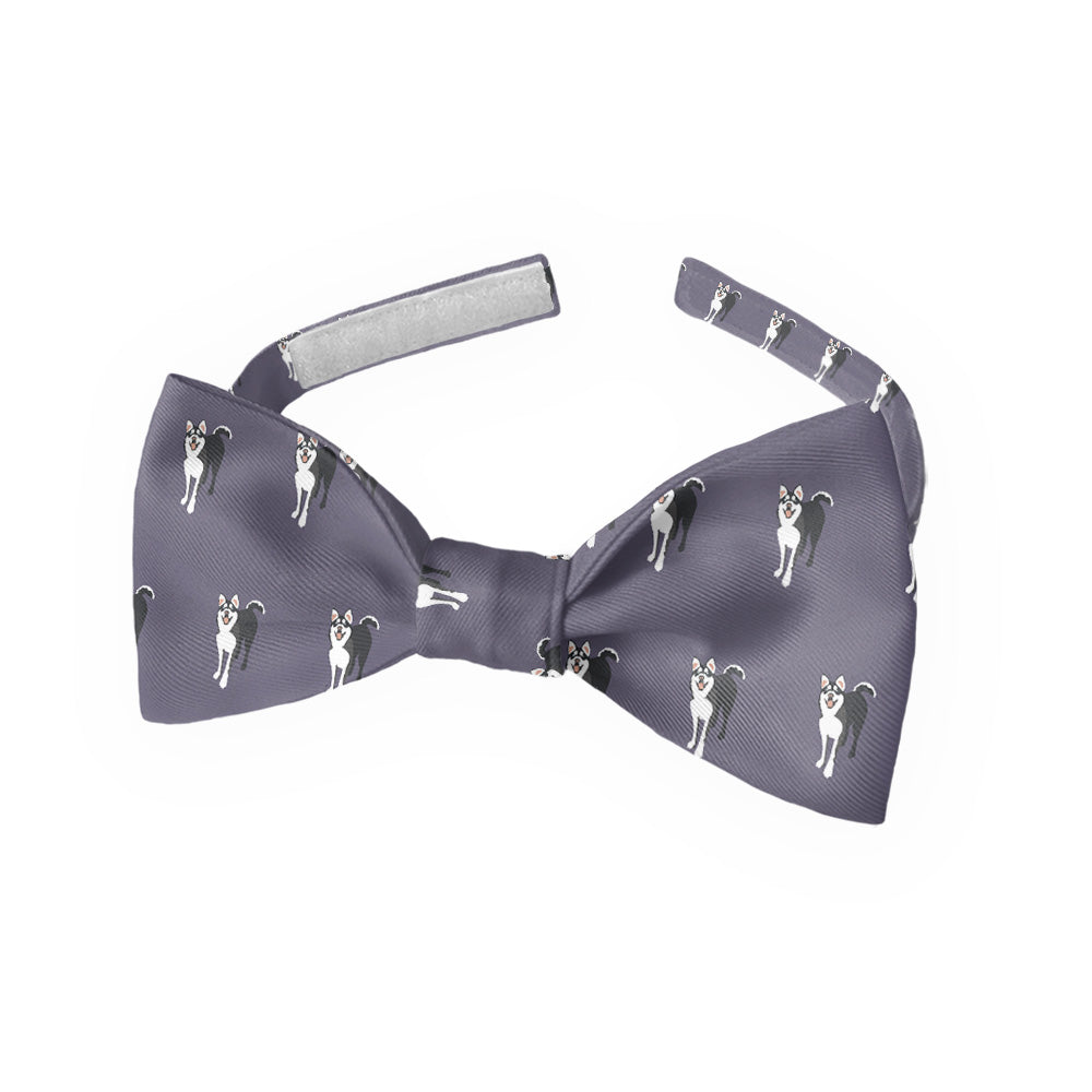 Husky Bow Tie - Kids Bow TIe - Knotty Tie Co.