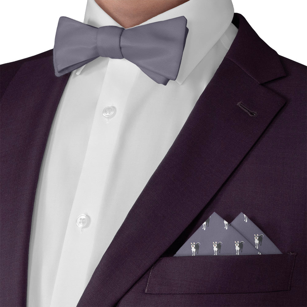 Husky Pocket Square - Matching Bow Tie - Knotty Tie Co.