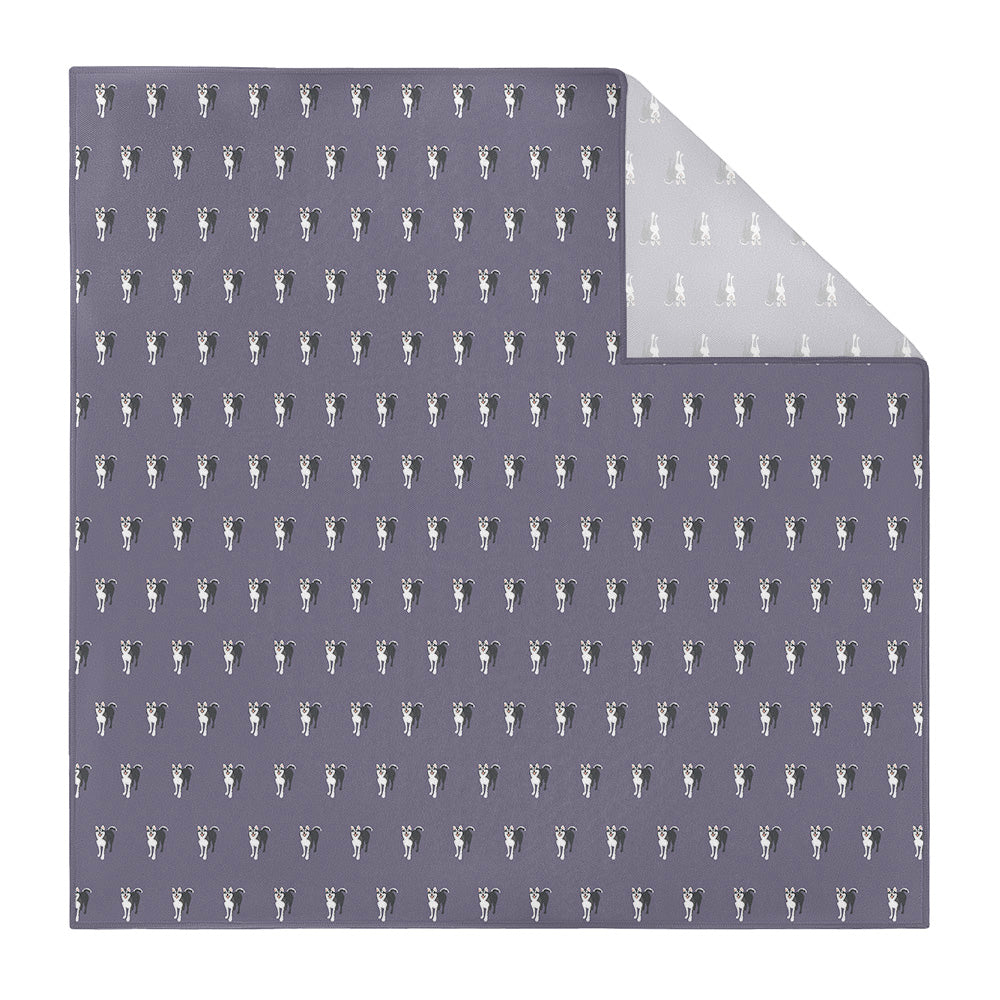 Husky Pocket Square - Printed - Knotty Tie Co.