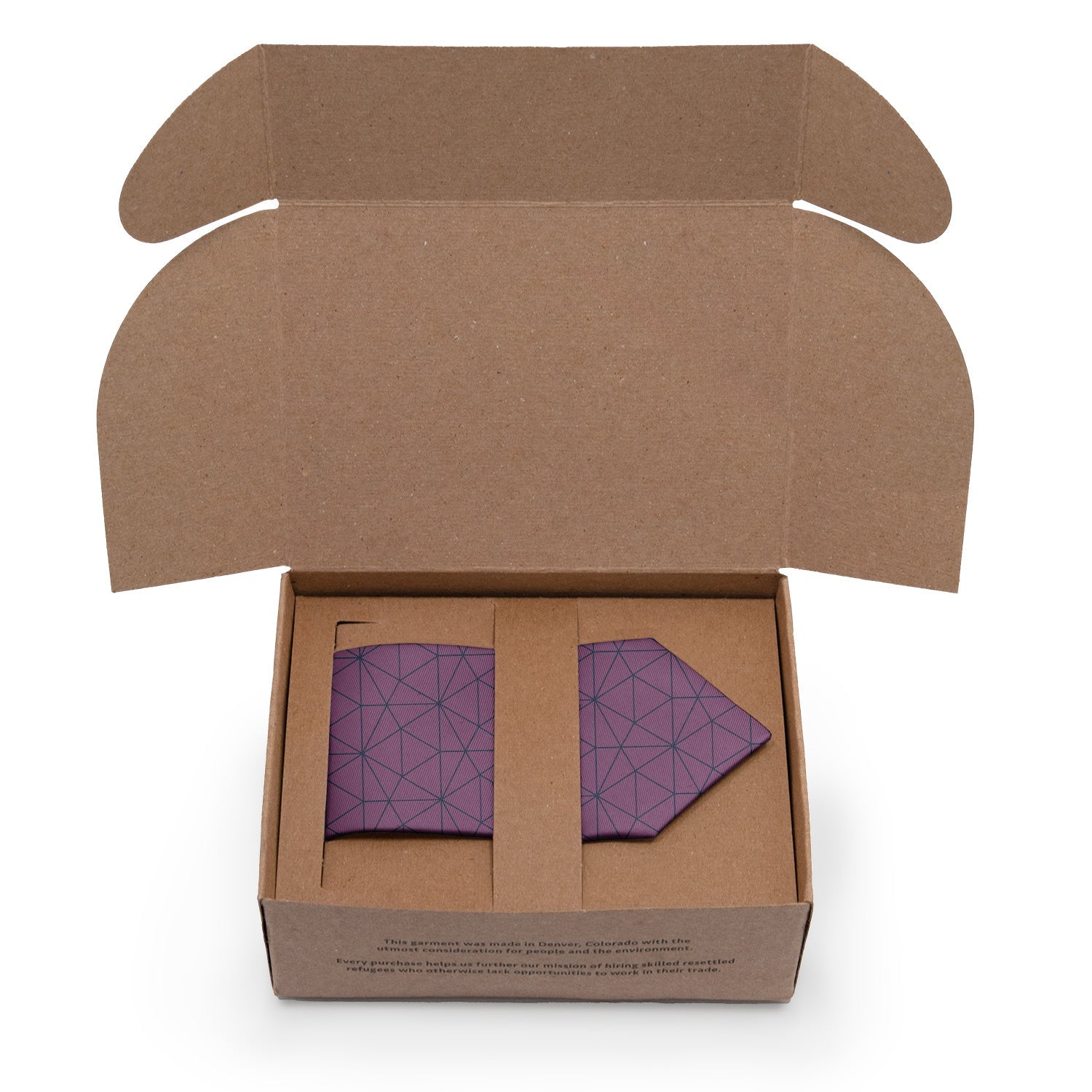 Igloo Geo Necktie - Packaging - Knotty Tie Co.