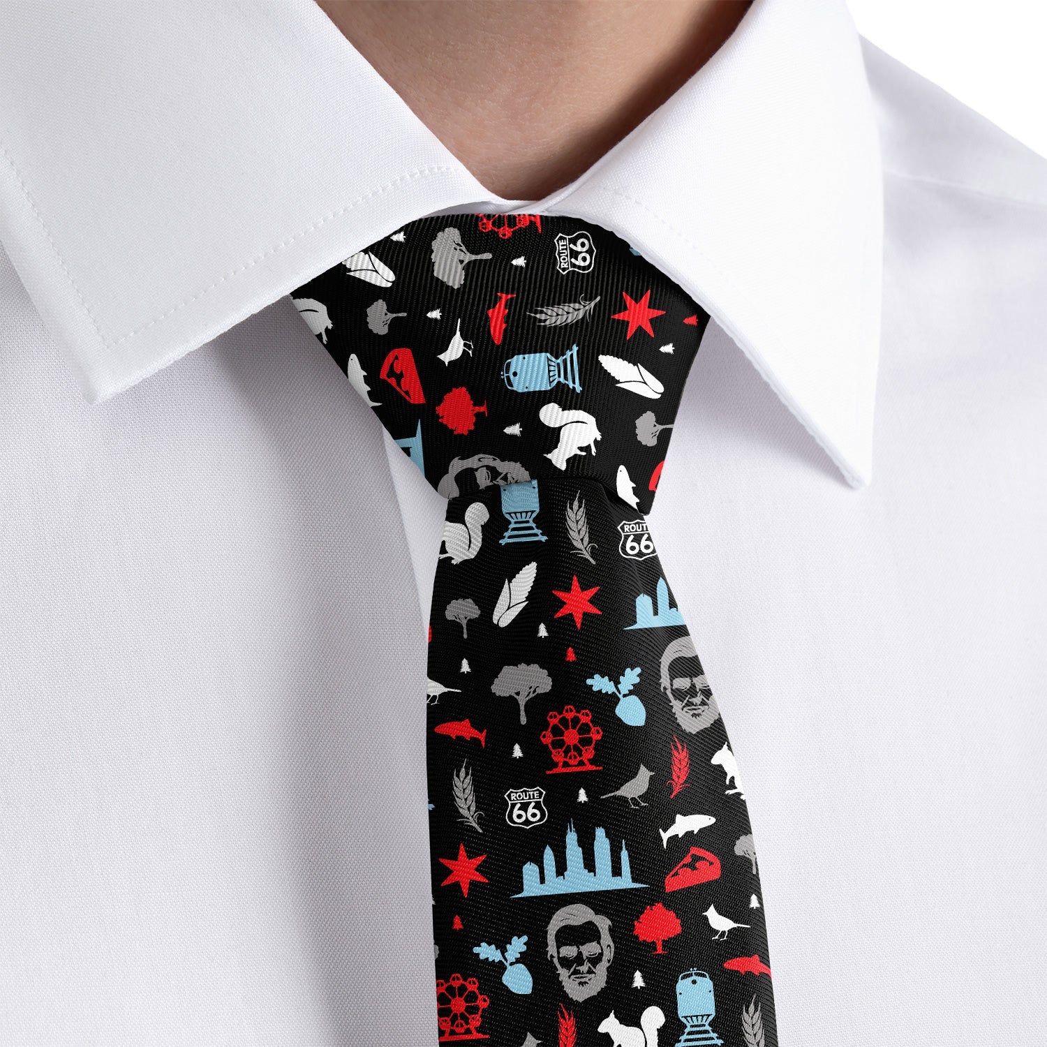 Illinois State Heritage Necktie - Dress Shirt - Knotty Tie Co.