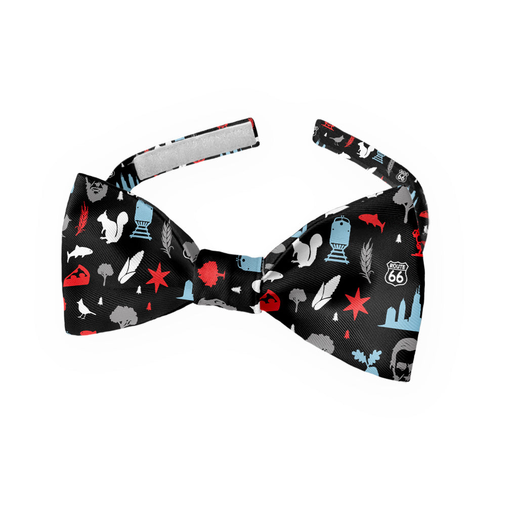 Illinois State Heritage Bow Tie - Kids Bow TIe - Knotty Tie Co.
