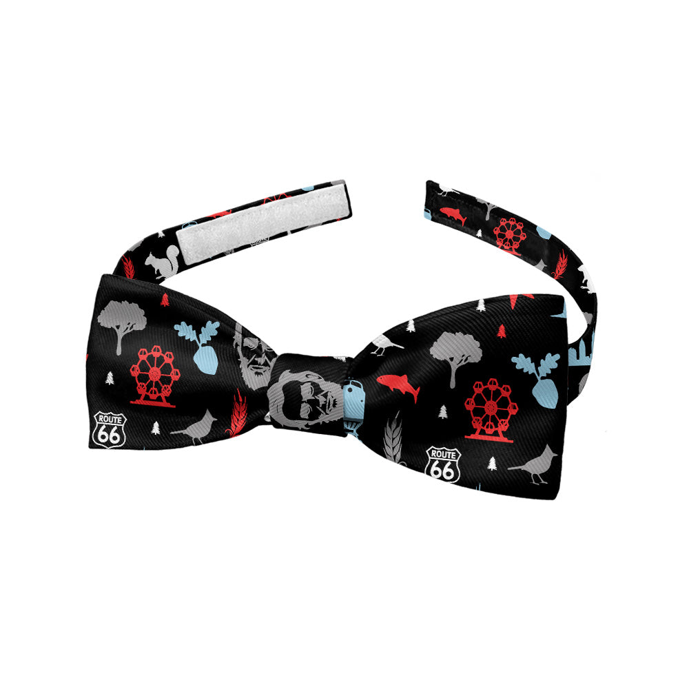 Illinois State Heritage Bow Tie - Baby Bow Tie - Knotty Tie Co.