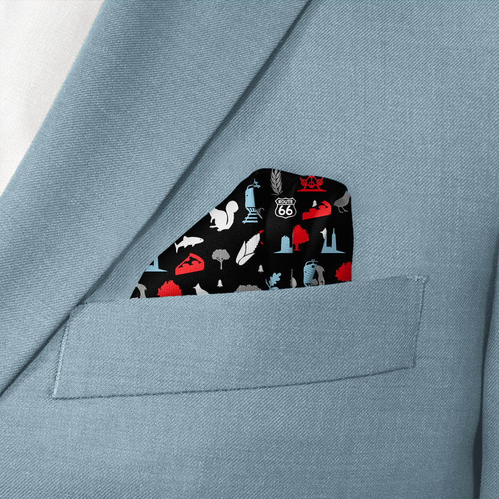 Illinois State Heritage Pocket Square - Wave Fold - Knotty Tie Co.