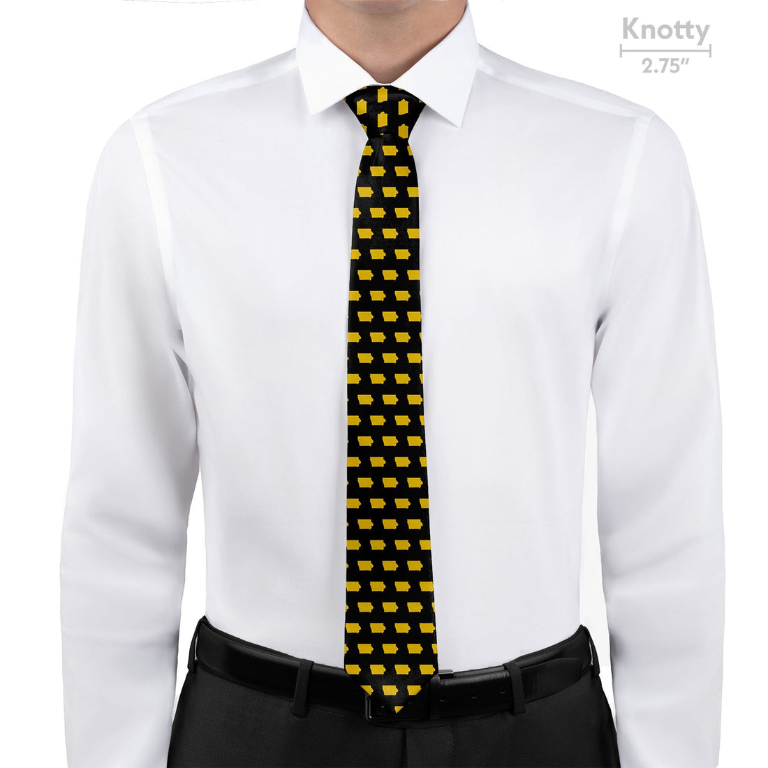 Iowa State Outline Necktie - Knotty - Knotty Tie Co.