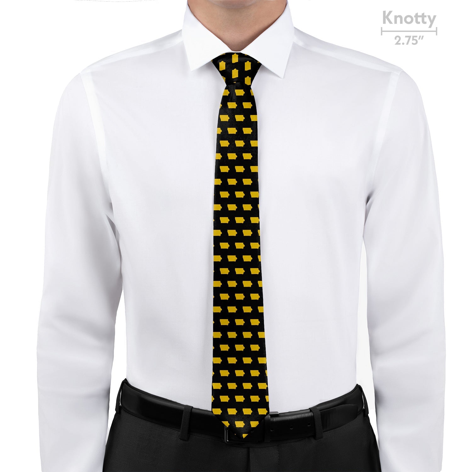 Iowa State Outline Necktie - Knotty - Knotty Tie Co.
