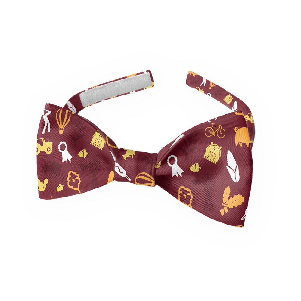 Iowa State Heritage Bow Tie - Kids Bow TIe - Knotty Tie Co.