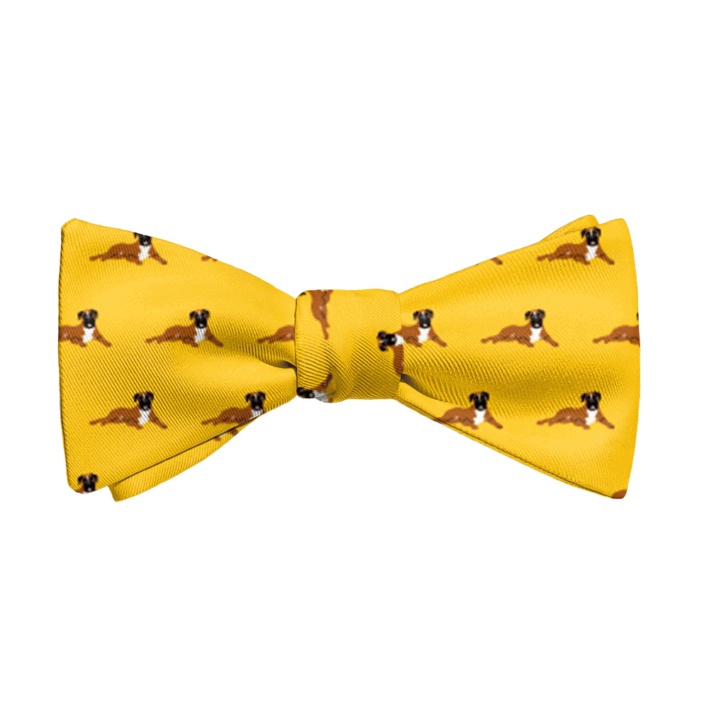 Boxer dog bow tie changing colors