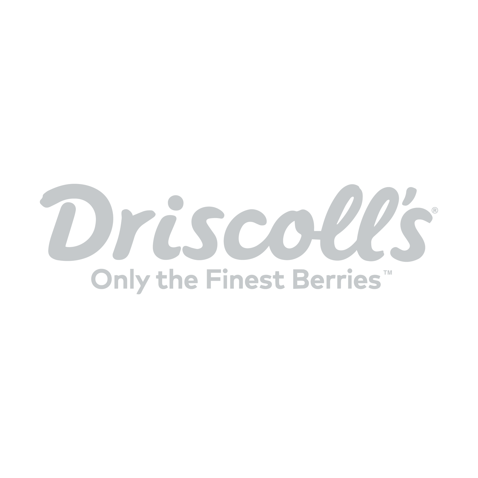 Driscoll's logo