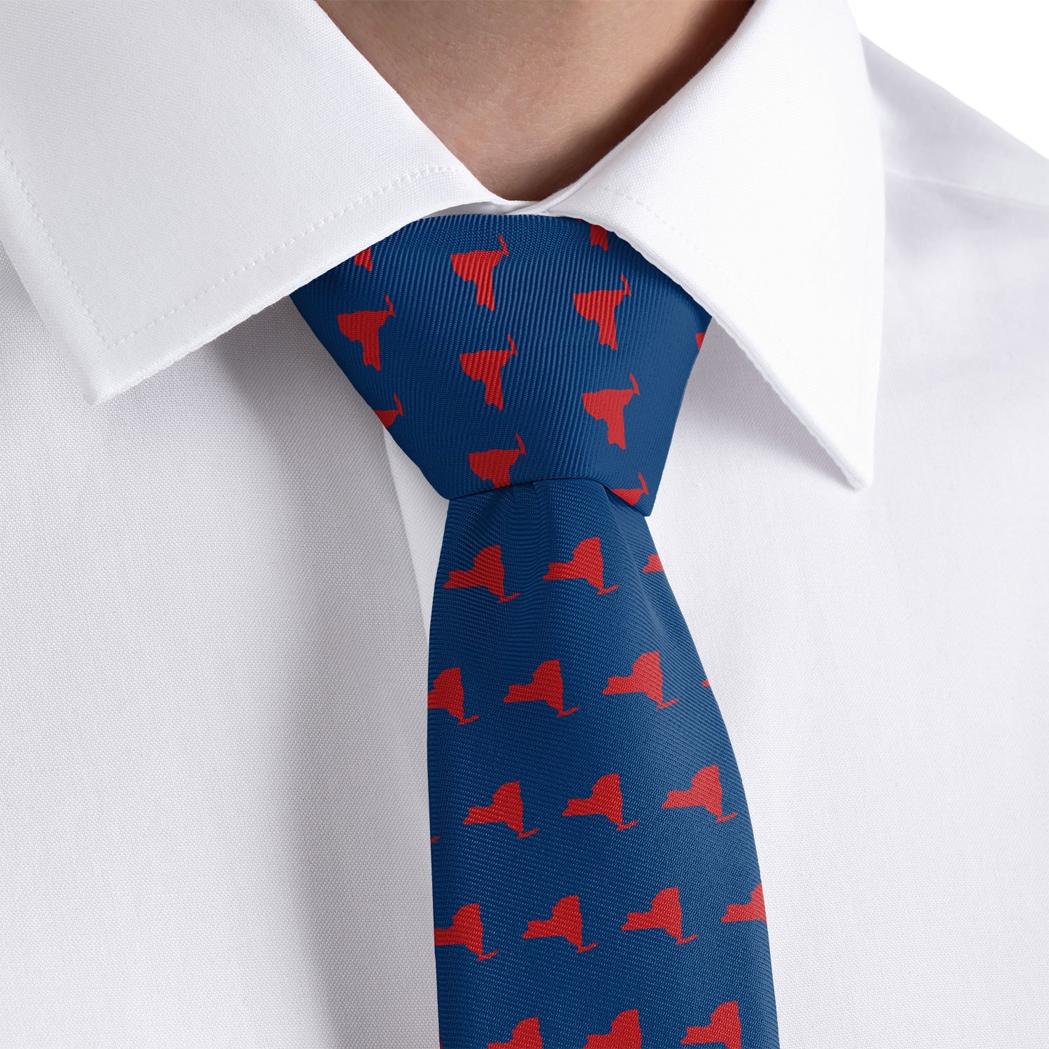 New York State Outline Necktie - Dress Shirt - Knotty Tie Co.