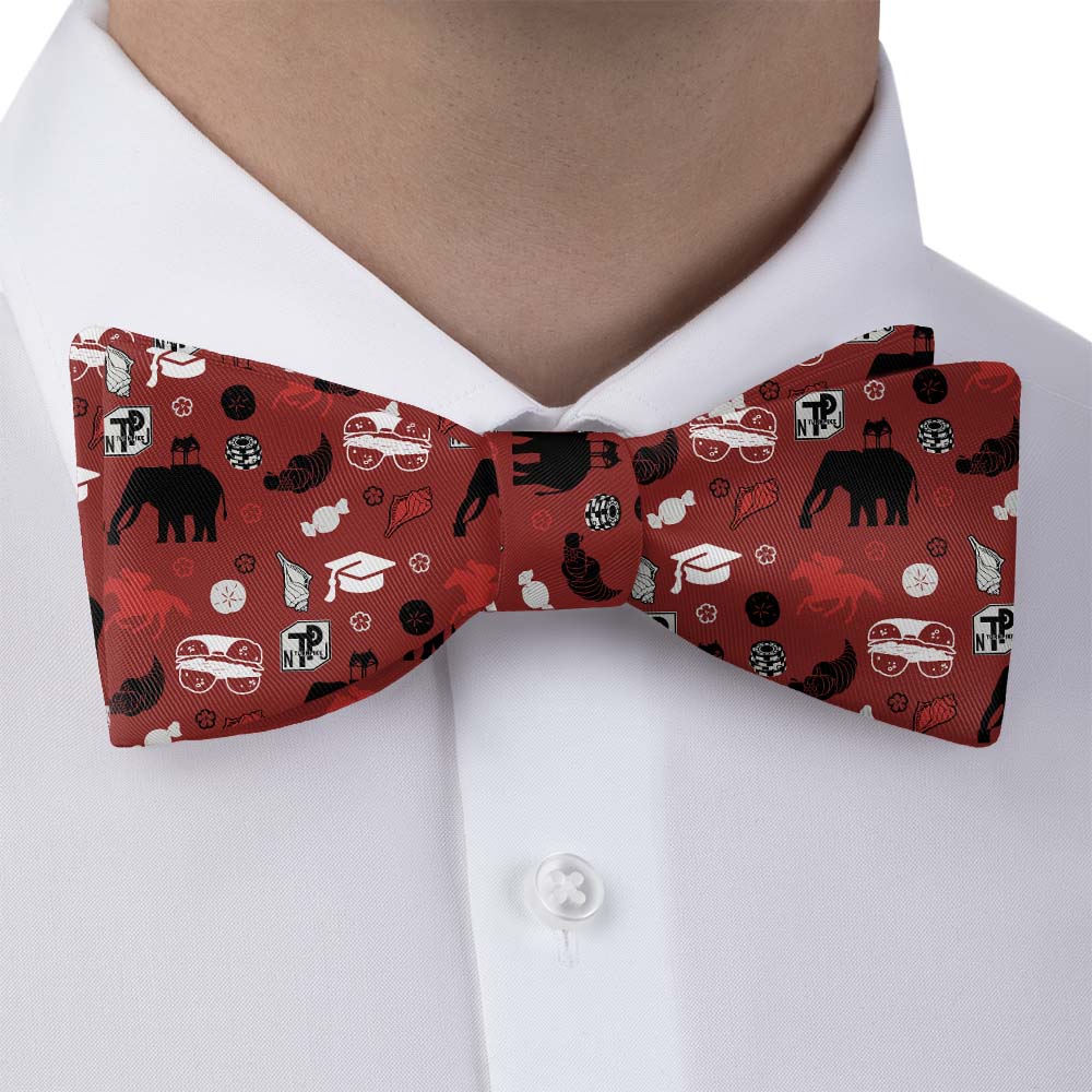New Jersey State Heritage Bow Tie - Bow Tie with Dress Shirt - Knotty Tie Co.