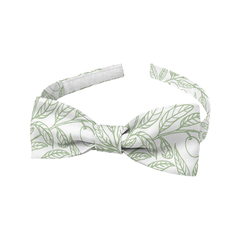 Olive Branch Bow Tie - Baby Bow Tie - Knotty Tie Co.
