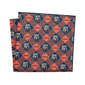Pet Plaid Photo Pocket Square - 12" Square - Knotty Tie Co.