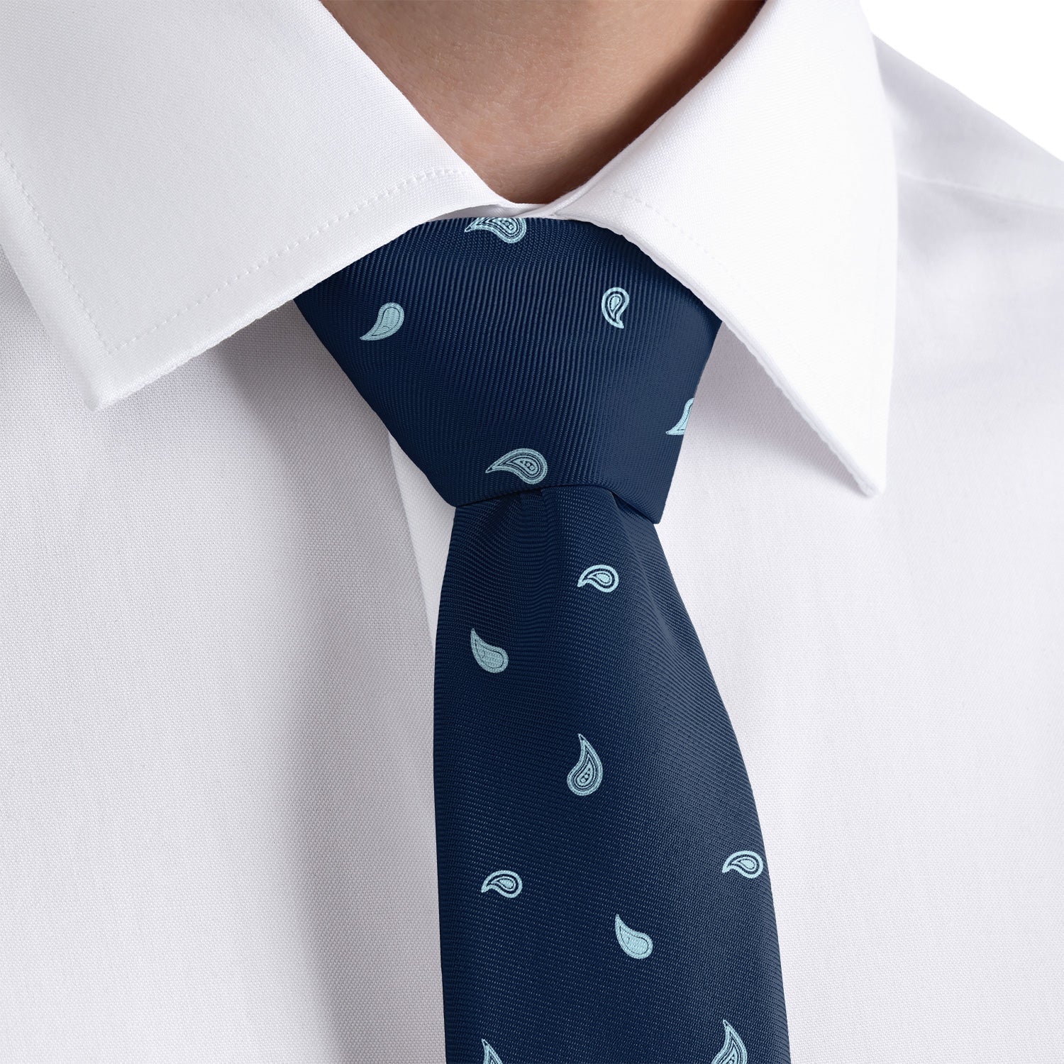 Petite Paisley Necktie - Dress Shirt - Knotty Tie Co.
