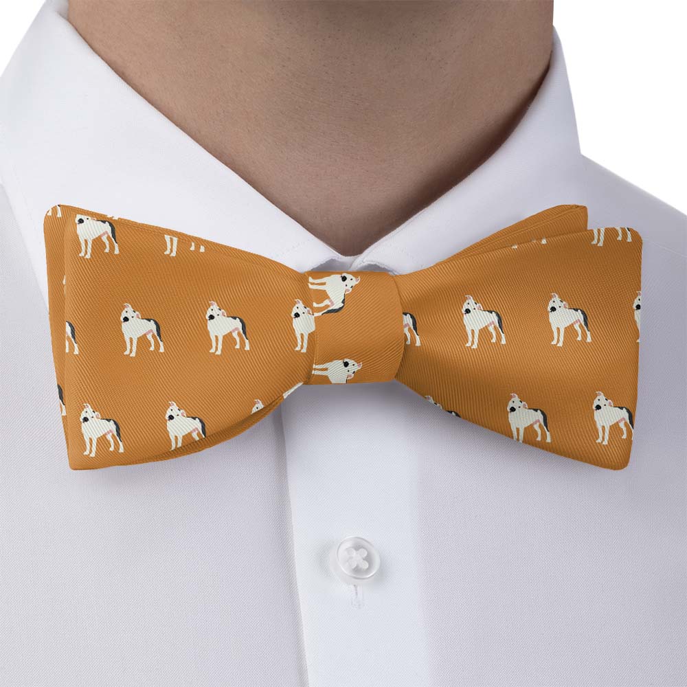 Pitbull Bow Tie - Bow Tie with Dress Shirt - Knotty Tie Co.