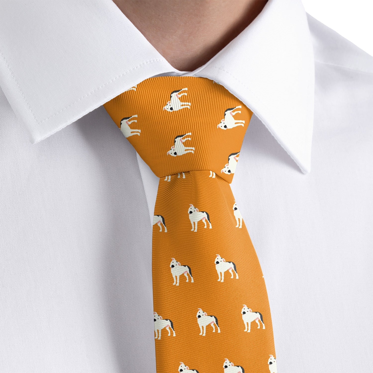 Pitbull Necktie - Dress Shirt - Knotty Tie Co.