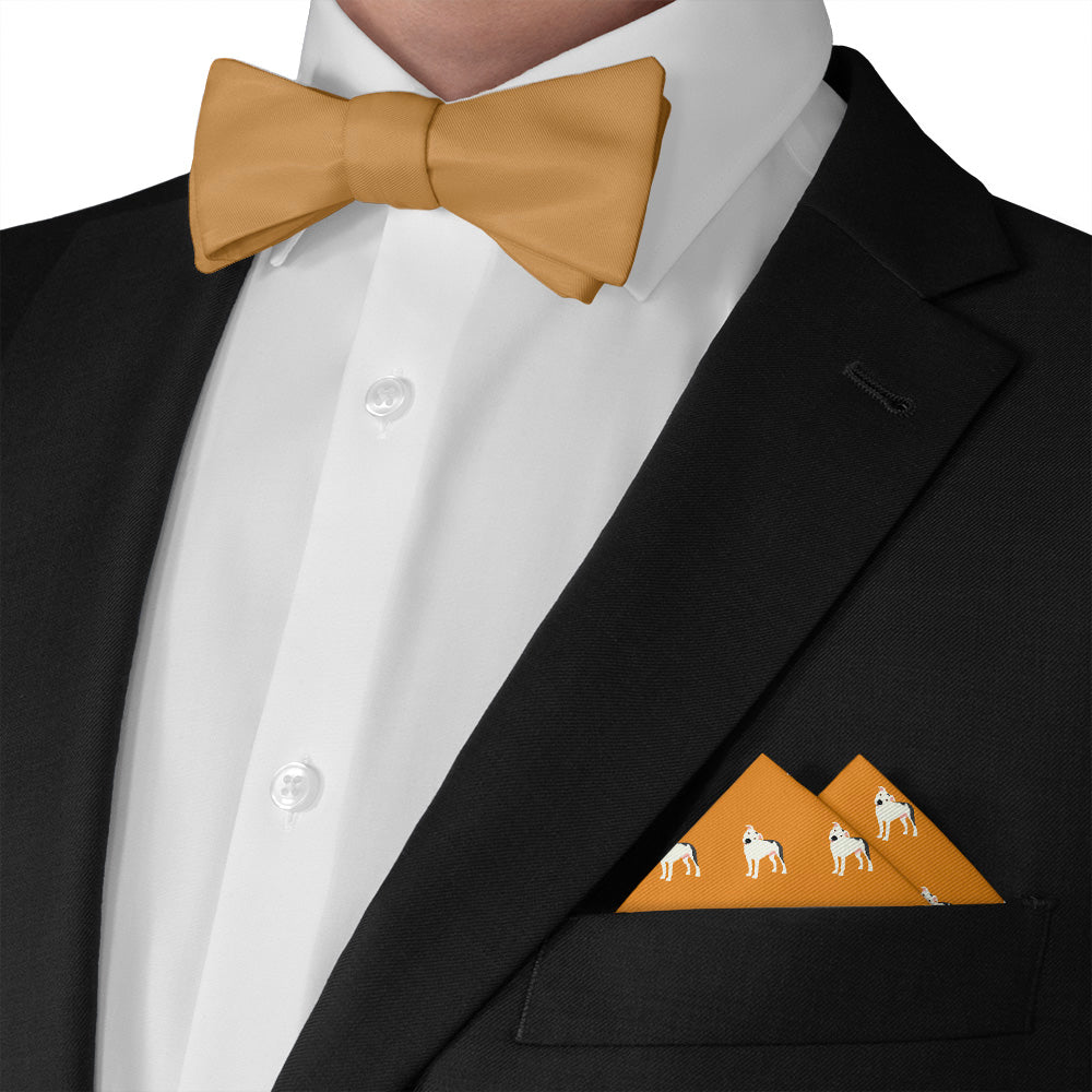Pitbull Pocket Square - Matching Bow Tie - Knotty Tie Co.