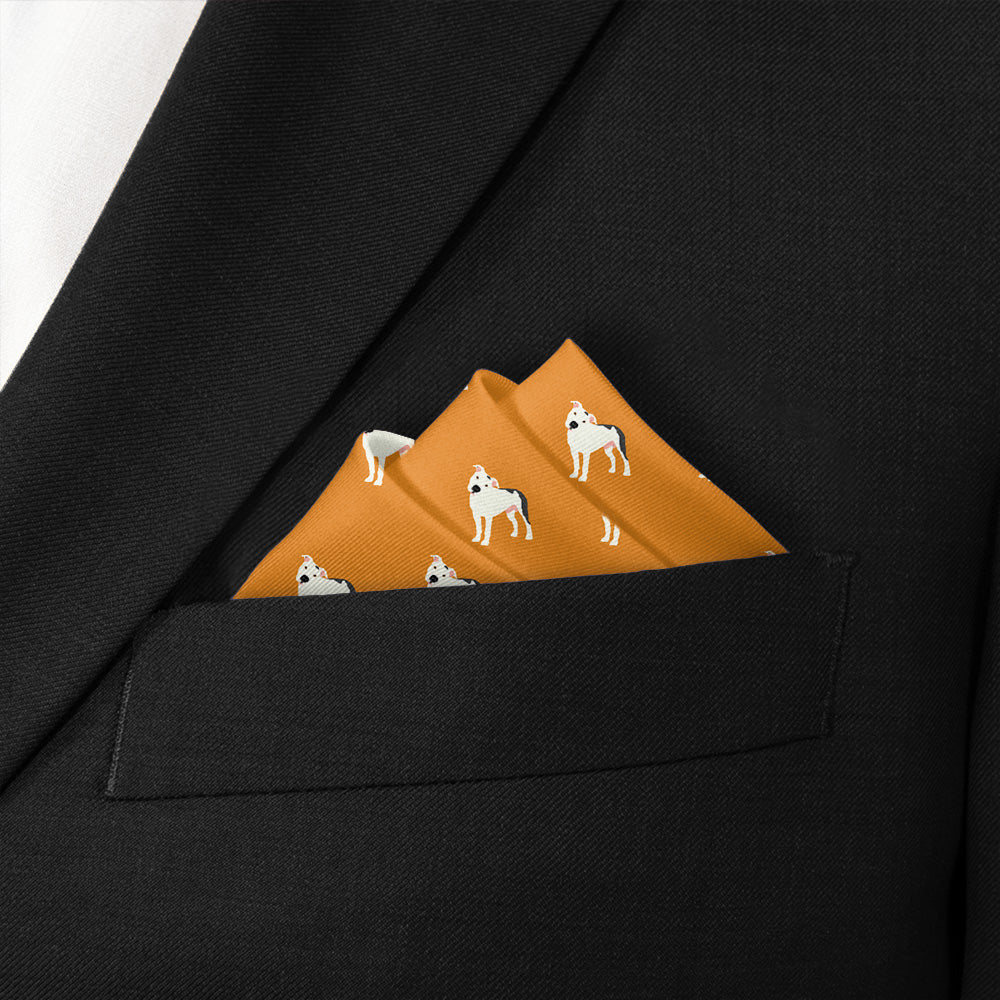 Pitbull Pocket Square - Stairs Fold - Knotty Tie Co.