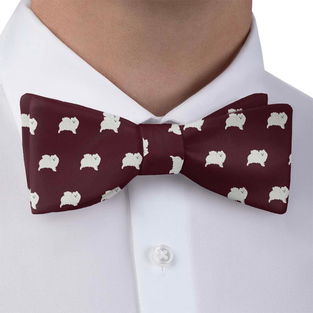 Pomeranian Bow Tie - Bow Tie with Dress Shirt - Knotty Tie Co.