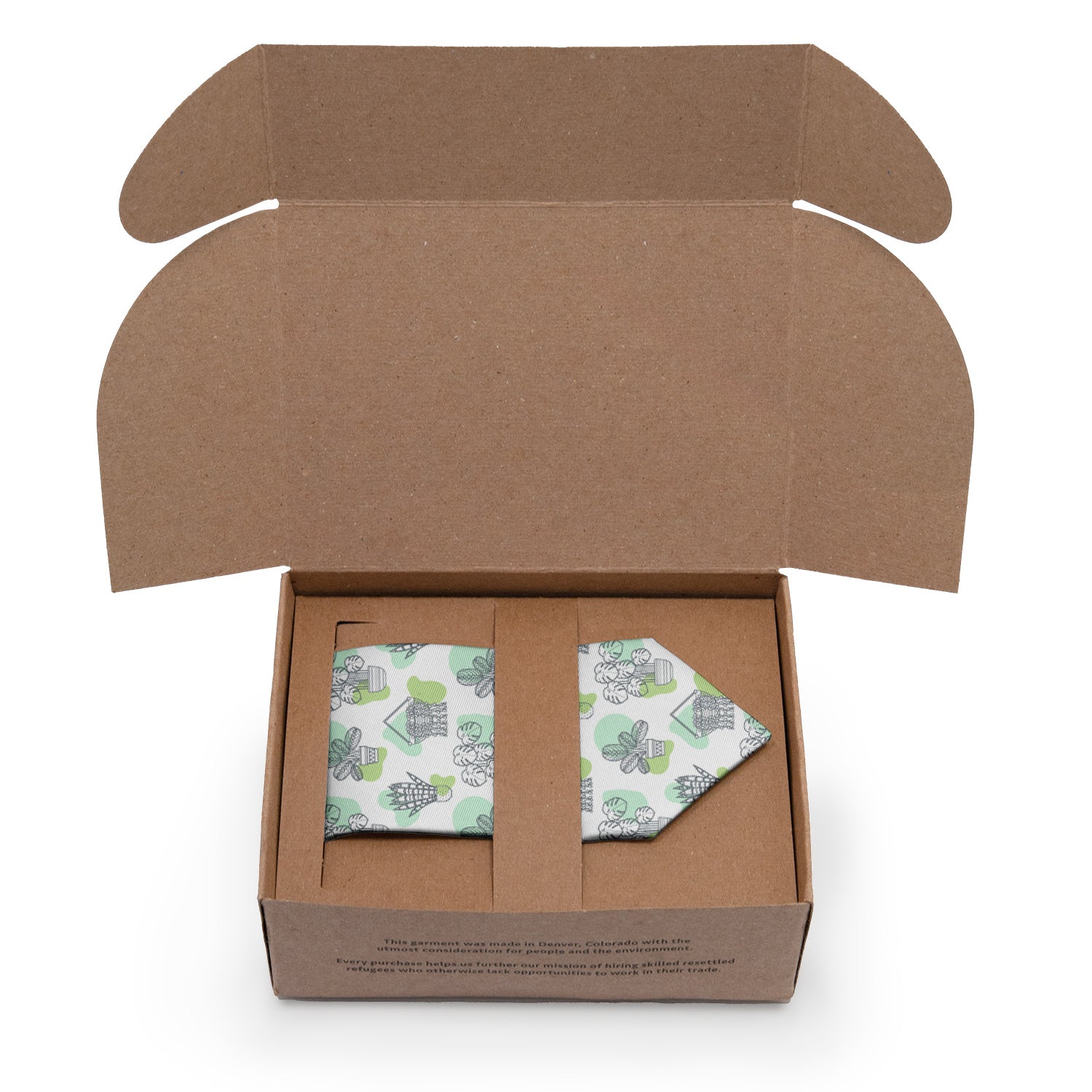 Open cardboard box with a green and white potted plant patterned tie inside on a white background