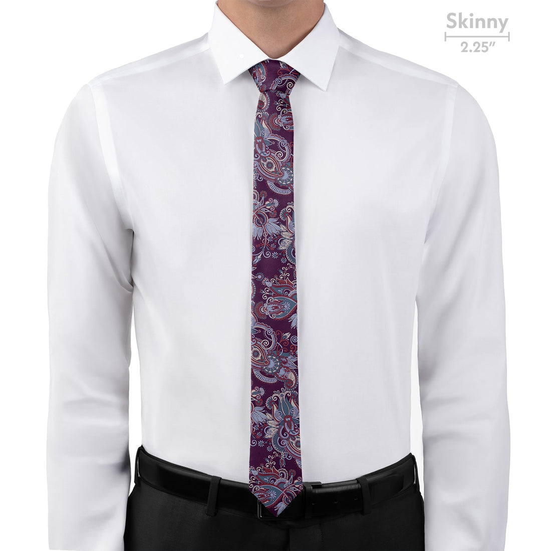 Prestige Paisley Necktie - Skinny - Knotty Tie Co.