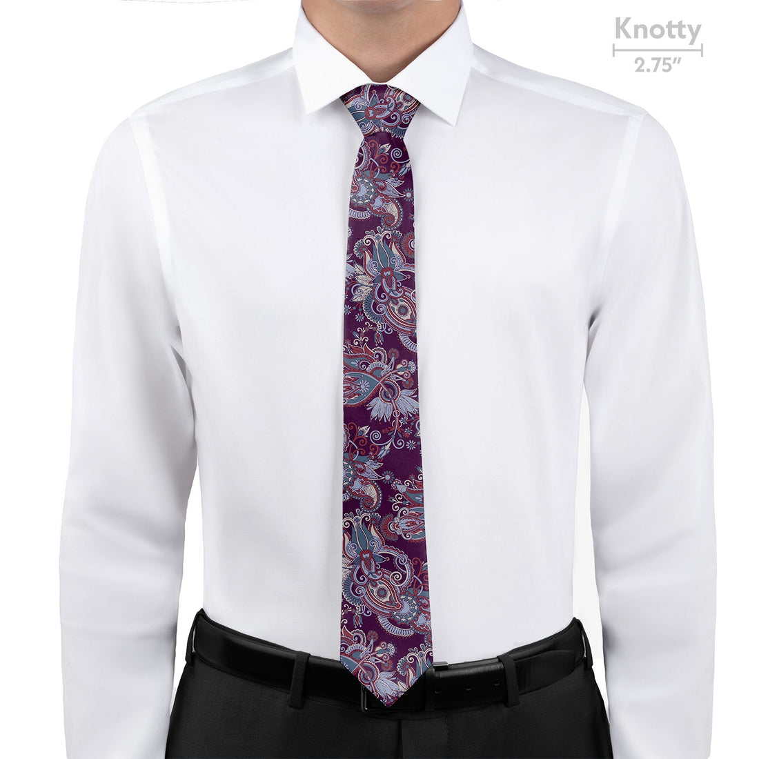 Prestige Paisley Necktie - Knotty - Knotty Tie Co.