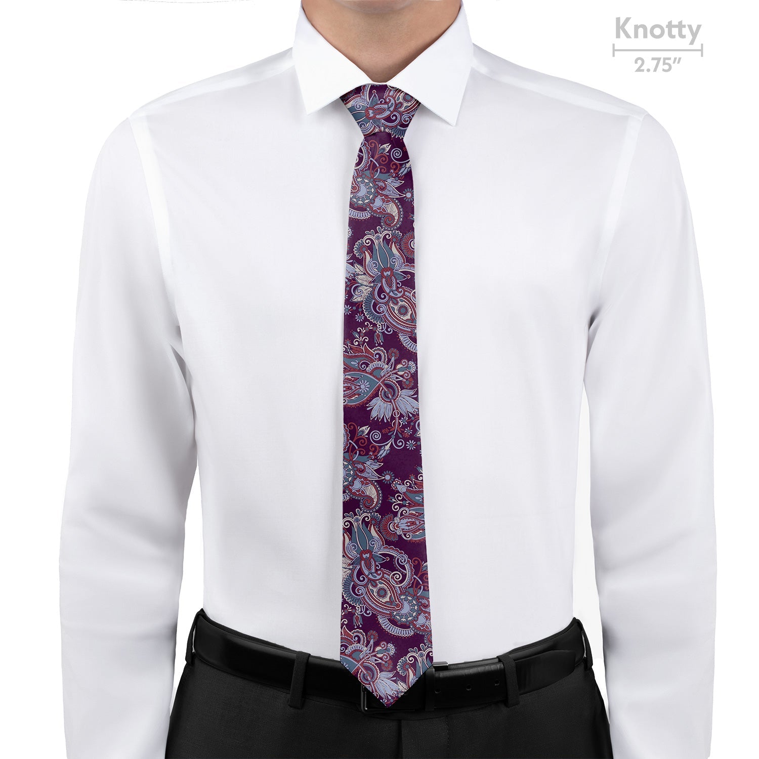 Prestige Paisley Necktie - Knotty - Knotty Tie Co.