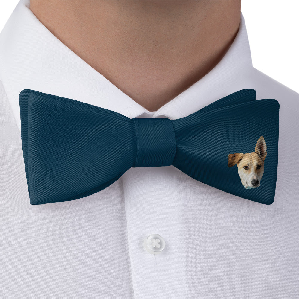 Solid 3 Photo Bow Tie - Bow Tie with Dress Shirt - Knotty Tie Co.