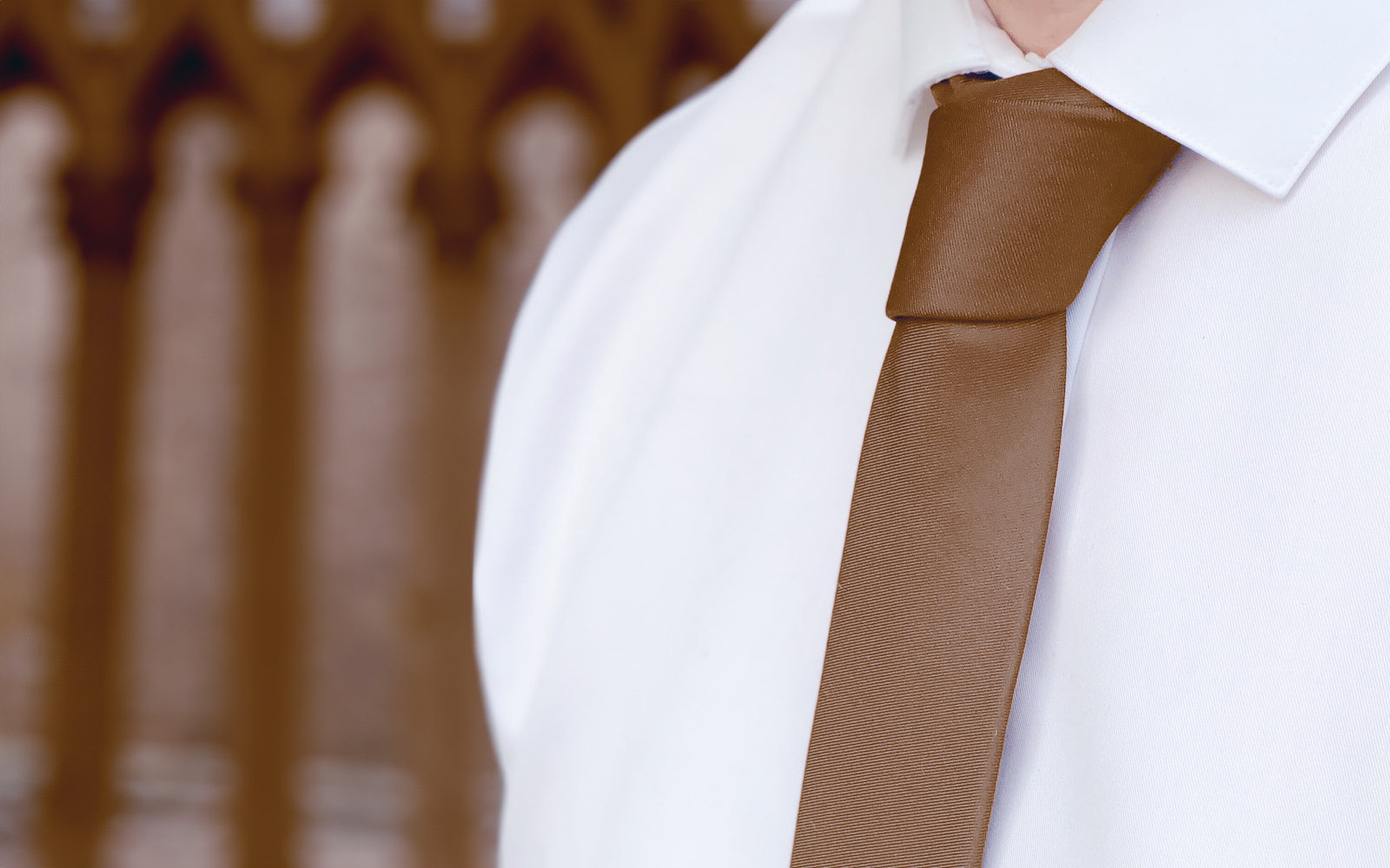 Brown Ties