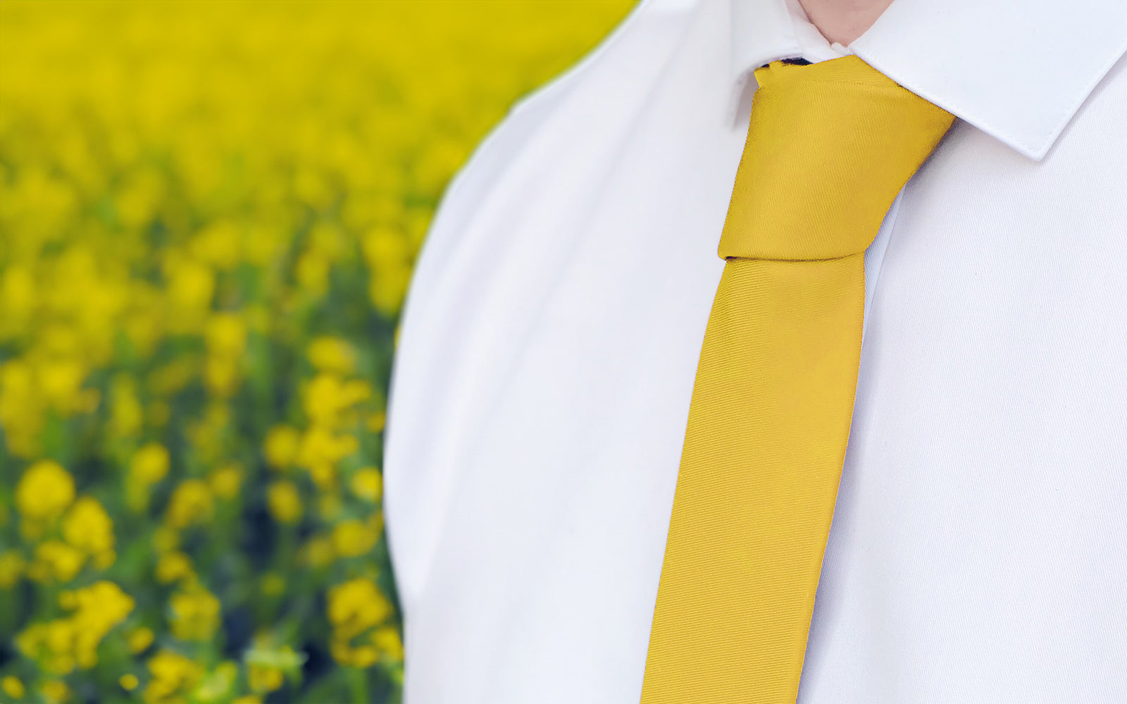 Yellow Ties