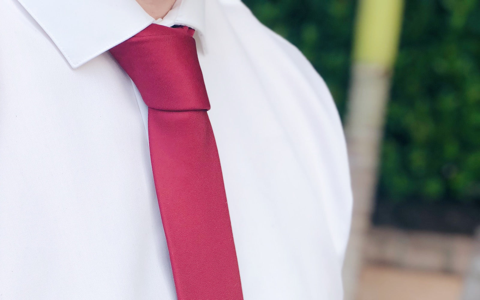 Solid neckties outlet