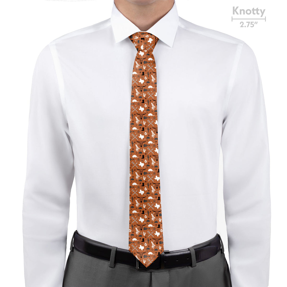 Texas State Heritage Necktie - Knotty - Knotty Tie Co.
