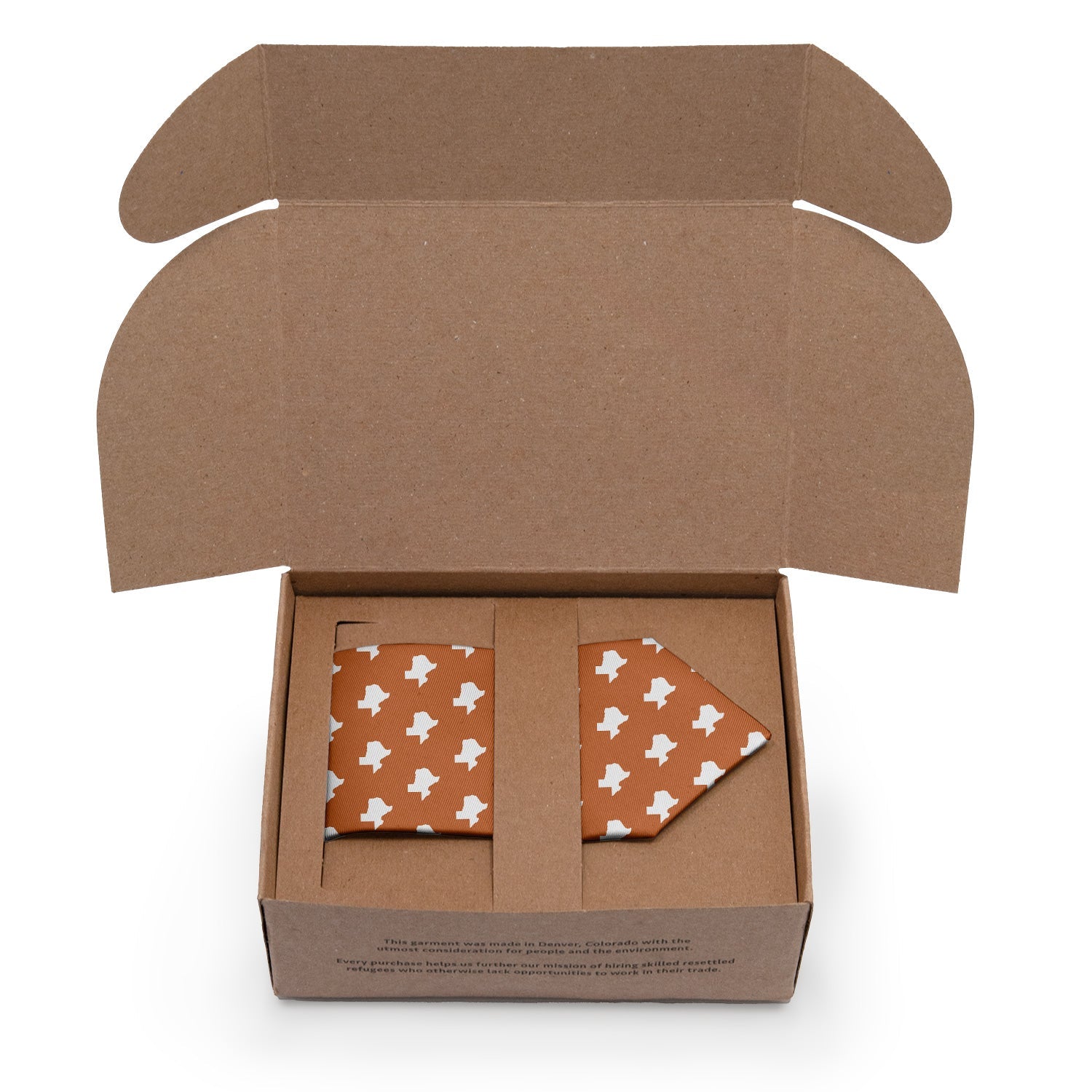Texas State Outline Necktie - Packaging - Knotty Tie Co.