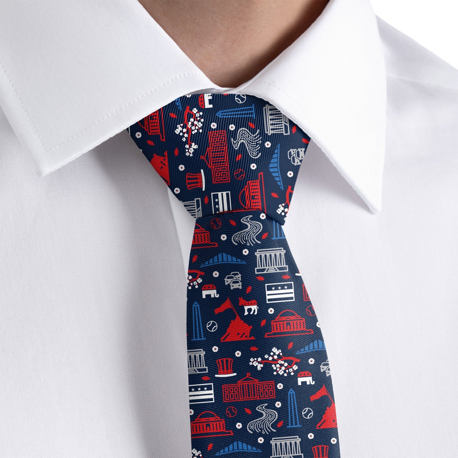 Washington DC Heritage Necktie - Dress Shirt - Knotty Tie Co.