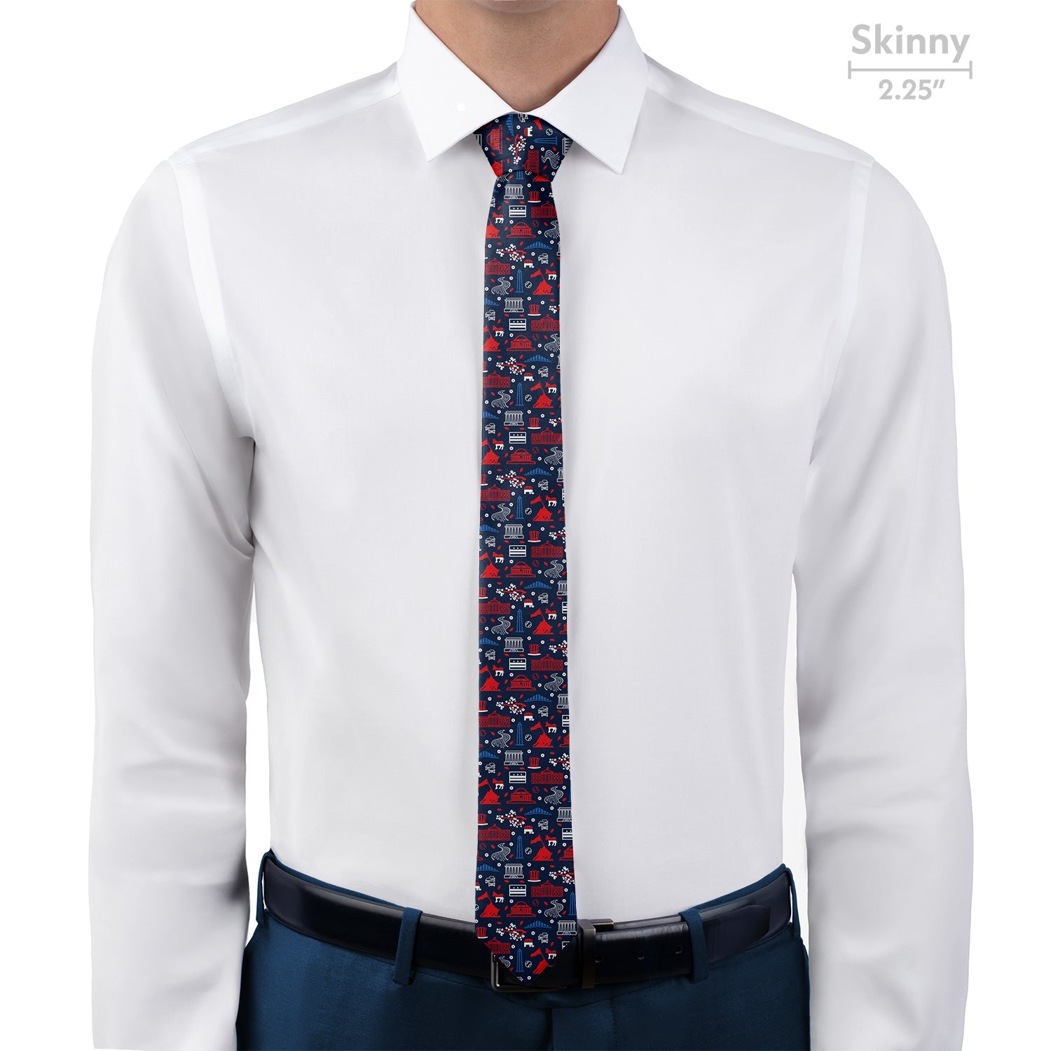 Washington DC Heritage Necktie - Skinny - Knotty Tie Co.