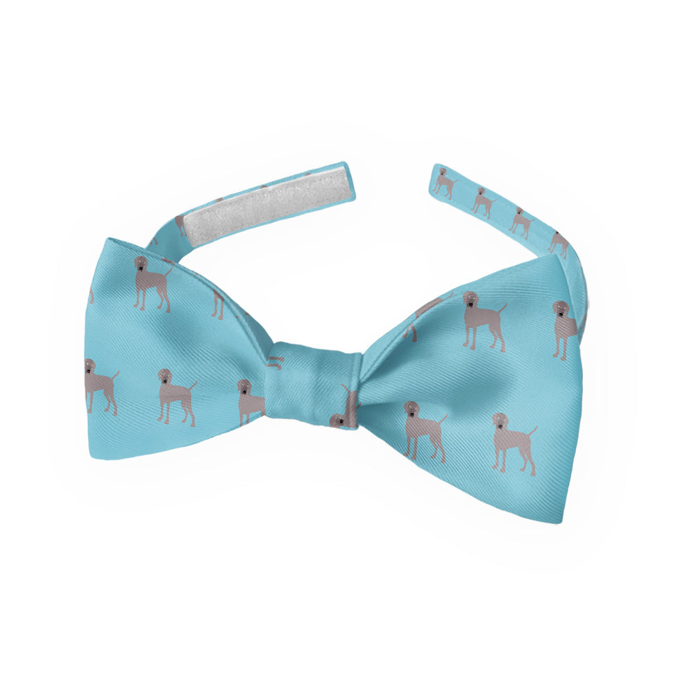 Weimaraner Bow Tie - Kids Bow TIe - Knotty Tie Co.