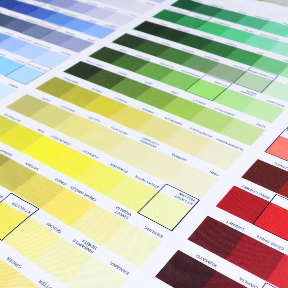 Color swatch chart with various color samples