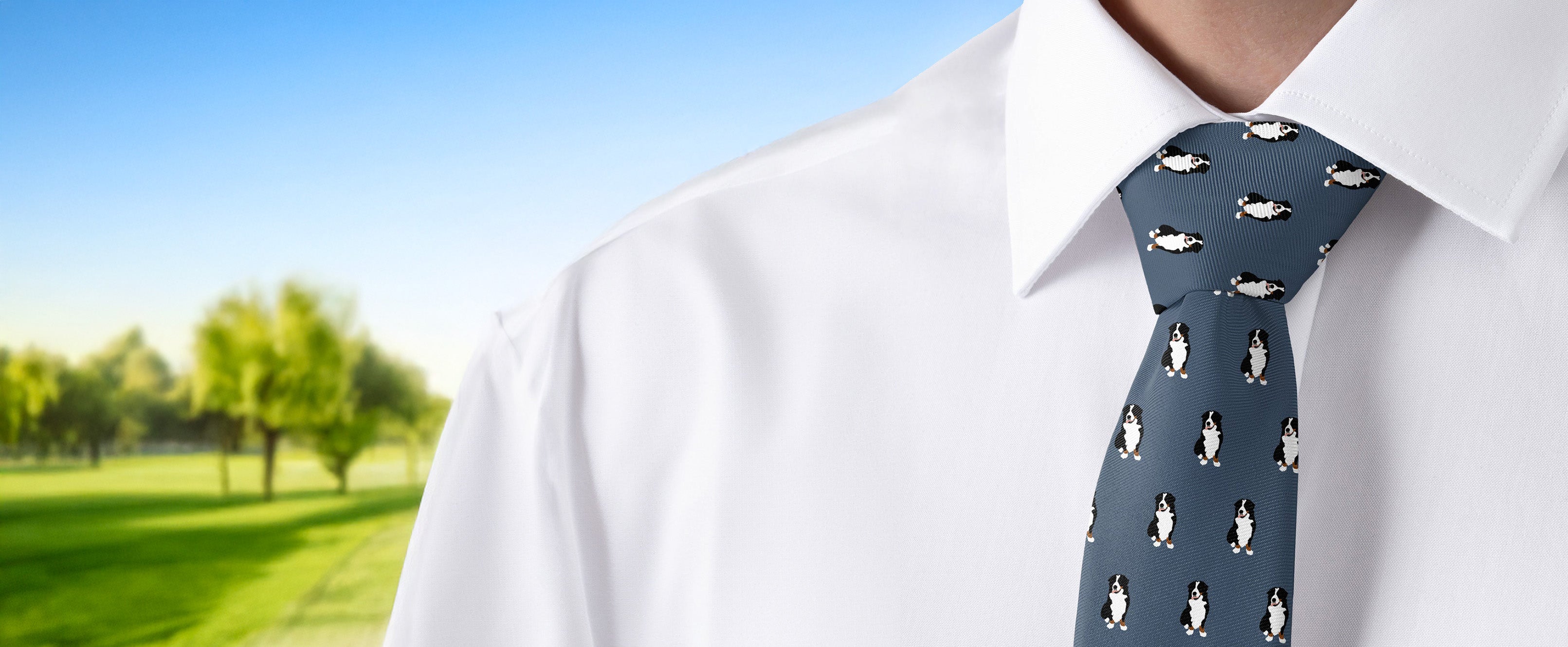 Person wearing a white shirt and a Bernese mountain dog patterned tie with a scenic background