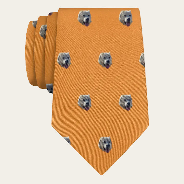 Orange tie with dog face pattern on a white background
