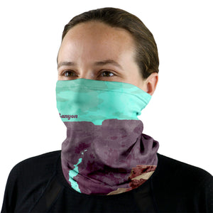 Grand Canyon National Park Abstract Neck Gaiter -  -  - Knotty Tie Co.