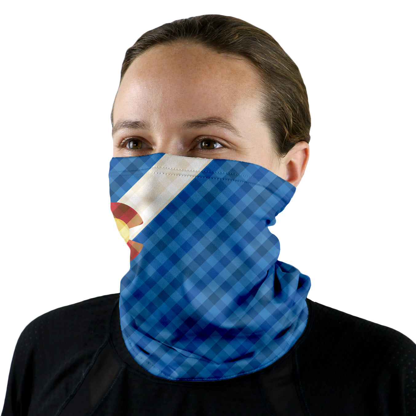 Colorado Gingham Neck Gaiter - Regular - Knotty Tie Co.